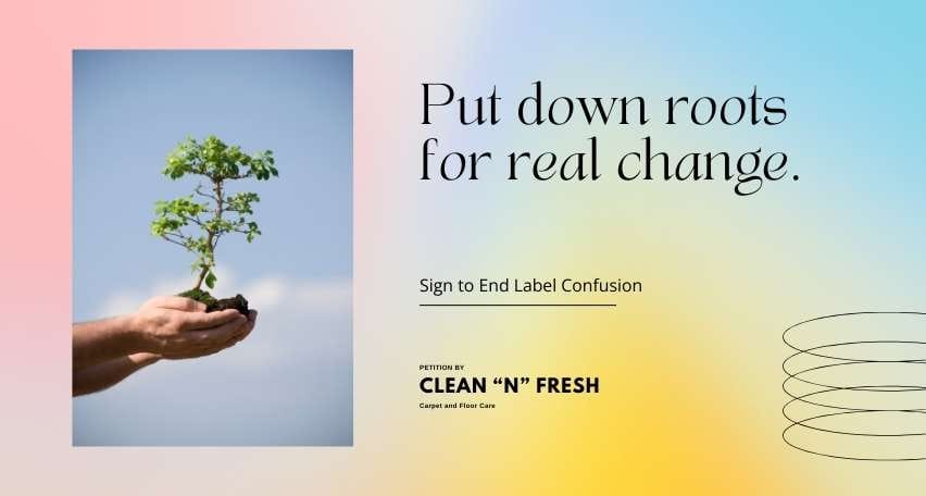 1 Eco Friendly Carpet Cleaning