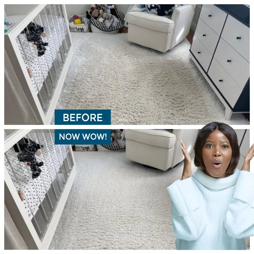 before after carpet cleaning long island