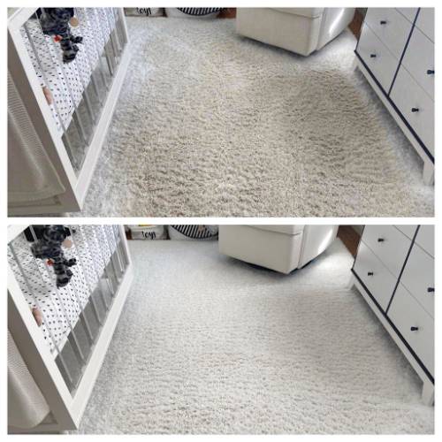 Carpet Cleaning Smithtown Ny Results 5
