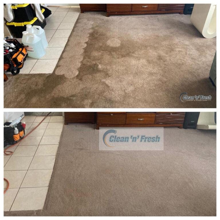 5Star Professional Carpet Cleaning Long Island NY 10 Off Now